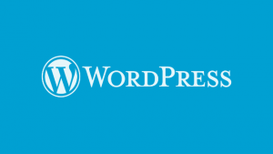 如何让WordPress网站显示在线人数？